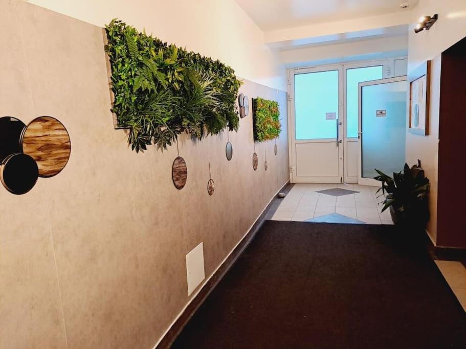 Erleben Sie L Bg3 Apartment