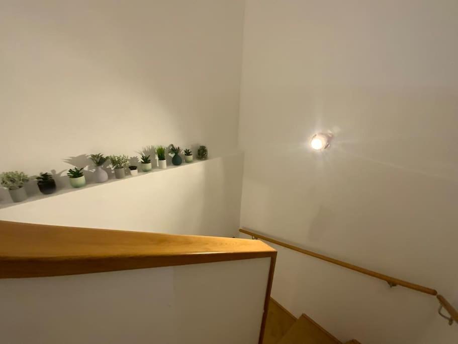 Erleben Sie Wien L Bg3 Viena