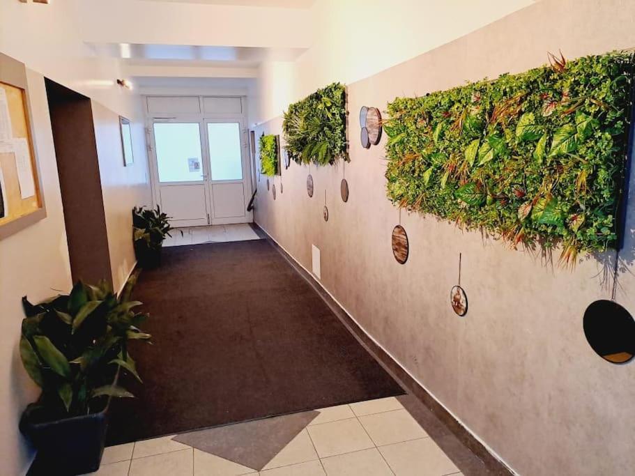 Apartamento Erleben Sie Wien L Bg3 Viena